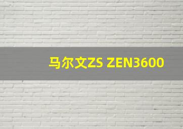 马尔文ZS ZEN3600